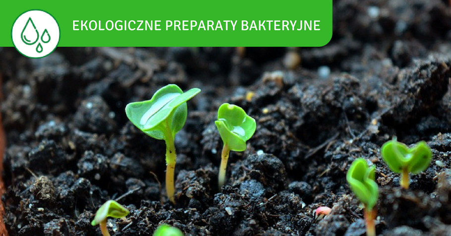Preparaty bakteryjne - biopreparaty - BactoTech