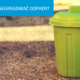Jak segregować odpady w domu i ograniczyć produkcję śmieci?