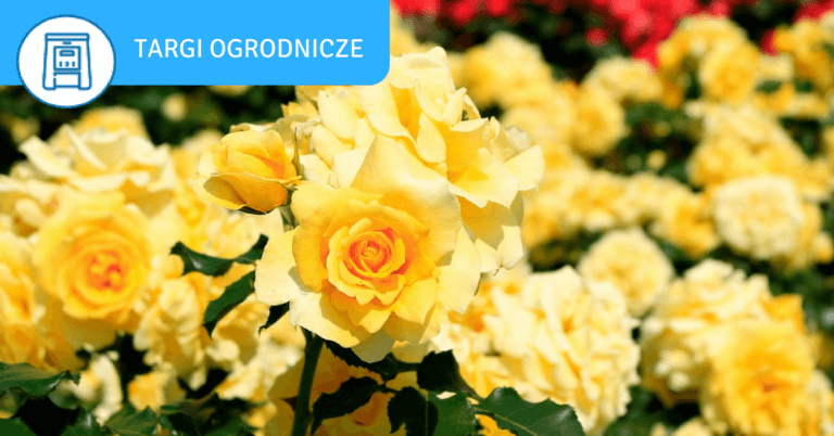 Garden fairs in the Kuyavian-Pomeranian province - targi ogrodnicze 1