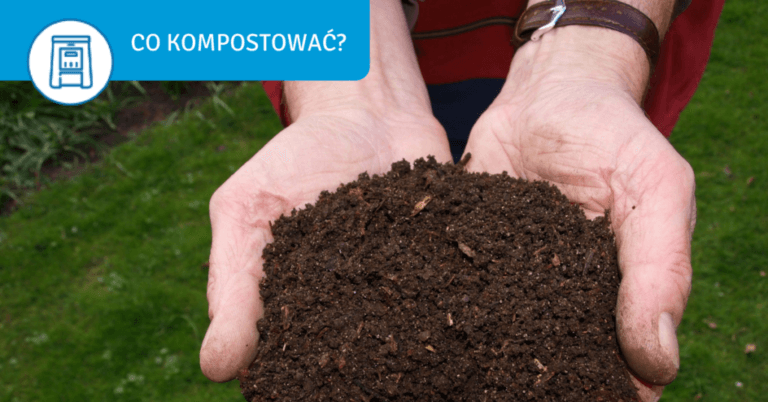 Organic fertilizer: what to make compost from? - z czego zrobic kompost bactotech