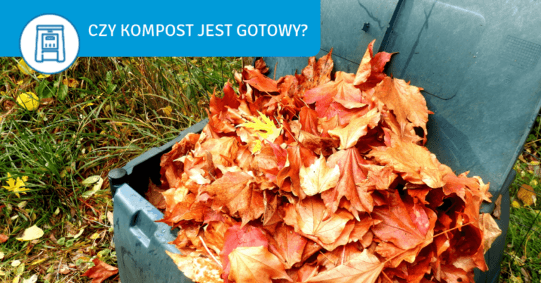 Is your compost ready? Check it simply and effectively! - czy kompost jest gotowy